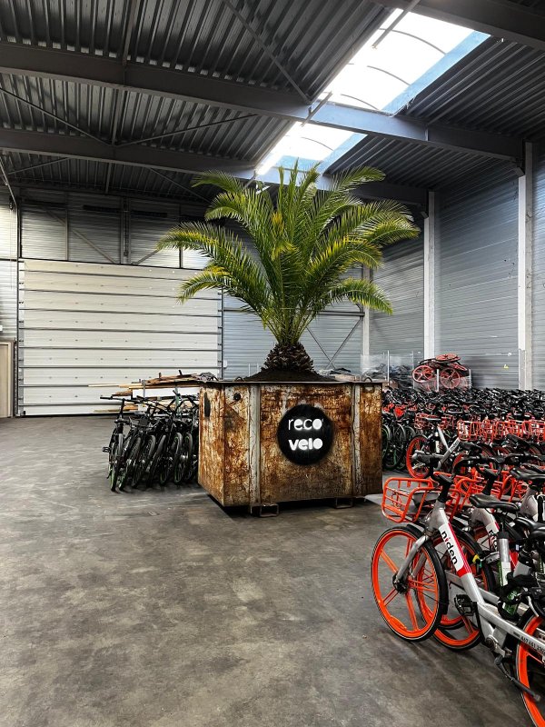 Recovélo sfeerbeeld 2